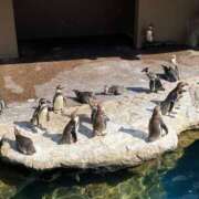 ヒメ日記 2025/05/14 12:56 投稿 近衛　にあ OLセレクション宇都宮店