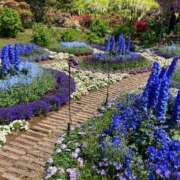 ヒメ日記 2025/05/14 16:01 投稿 近衛　にあ OLセレクション宇都宮店