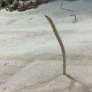 ヒメ日記 2025/05/15 10:00 投稿 近衛　にあ OLセレクション宇都宮店