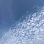 ヒメ日記 2025/05/18 14:00 投稿 近衛　にあ OLセレクション宇都宮店