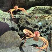 ヒメ日記 2025/05/19 12:45 投稿 近衛　にあ OLセレクション宇都宮店