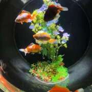 ヒメ日記 2025/05/21 23:07 投稿 近衛　にあ OLセレクション宇都宮店