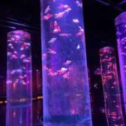 ヒメ日記 2025/05/22 11:36 投稿 近衛　にあ OLセレクション宇都宮店