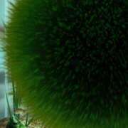 ヒメ日記 2025/05/29 12:30 投稿 近衛　にあ OLセレクション宇都宮店