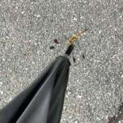 ヒメ日記 2025/06/24 14:40 投稿 近衛　にあ OLセレクション宇都宮店