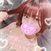 ヒメ日記 2025/08/21 12:11 投稿 近衛　にあ OLセレクション宇都宮店