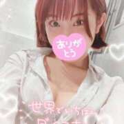 ヒメ日記 2025/09/15 08:30 投稿 近衛　にあ OLセレクション宇都宮店