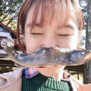 ヒメ日記 2025/11/07 15:21 投稿 近衛　にあ OLセレクション宇都宮店
