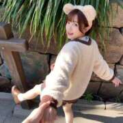 ヒメ日記 2026/02/25 10:08 投稿 近衛　にあ OLセレクション宇都宮店