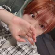 ヒメ日記 2026/04/16 06:47 投稿 近衛　にあ OLセレクション宇都宮店