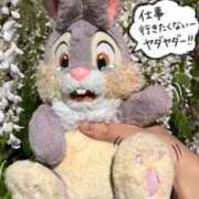 ヒメ日記 2026/04/27 09:51 投稿 近衛　にあ OLセレクション宇都宮店