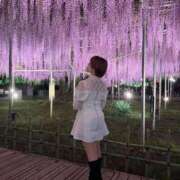 ヒメ日記 2026/04/29 16:03 投稿 近衛　にあ OLセレクション宇都宮店