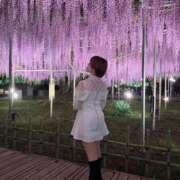 ヒメ日記 2026/04/29 16:14 投稿 近衛　にあ OLセレクション宇都宮店