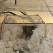 ヒメ日記 2025/04/29 07:06 投稿 さくや お姉さんSelect