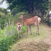 ヒメ日記 2025/07/02 09:16 投稿 さくや お姉さんSelect