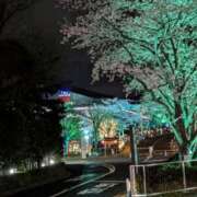 ヒメ日記 2025/04/08 10:06 投稿 とわ 出会い系人妻ネットワーク 上野〜大塚編