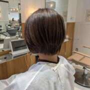 ヒメ日記 2025/04/11 13:59 投稿 とわ 出会い系人妻ネットワーク 上野〜大塚編