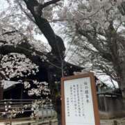 ひめか 春はすぐそこ🌸 ナイトヴィーナス