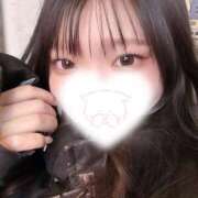 ヒメ日記 2025/12/11 02:10 投稿 もも バカンス学園　谷九校