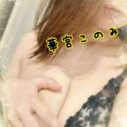 ヒメ日記 2025/03/22 18:43 投稿 華宮 このみ 大奥 難波店