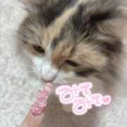 ヒメ日記 2025/04/04 20:13 投稿 つぐみ ぷよラブ れぼりゅ～しょん