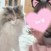 ヒメ日記 2025/04/12 14:55 投稿 つぐみ ぷよラブ れぼりゅ～しょん