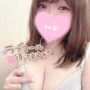 ヒメ日記 2025/05/02 18:14 投稿 つぐみ ぷよラブ れぼりゅ～しょん