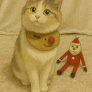 ヒメ日記 2025/05/11 00:58 投稿 つぐみ ぷよラブ れぼりゅ～しょん