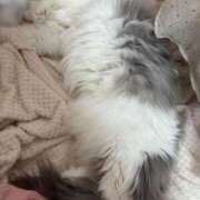 ヒメ日記 2025/06/05 22:22 投稿 つぐみ ぷよラブ れぼりゅ～しょん