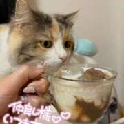 ヒメ日記 2025/07/17 05:15 投稿 つぐみ ぷよラブ れぼりゅ～しょん