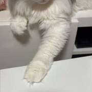 ヒメ日記 2025/10/06 17:23 投稿 つぐみ ぷよラブ れぼりゅ～しょん