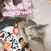 ヒメ日記 2025/11/20 03:21 投稿 つぐみ ぷよラブ れぼりゅ～しょん