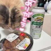 ヒメ日記 2025/11/21 00:54 投稿 つぐみ ぷよラブ れぼりゅ～しょん