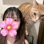 ヒメ日記 2025/06/15 23:21 投稿 芦沢　さくら イラマチーオ池袋店