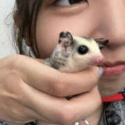 ヒメ日記 2025/09/08 19:11 投稿 芦沢　さくら イラマチーオ池袋店