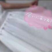 ヒメ日記 2025/04/30 19:14 投稿 かやの（美乳・スレンダー） ソープランド ラ・メイド neo