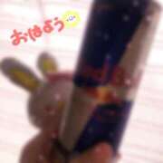 ヒメ日記 2025/05/03 05:46 投稿 かやの（美乳・スレンダー） ソープランド ラ・メイド neo