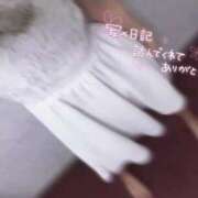 ヒメ日記 2025/05/04 22:24 投稿 かやの（美乳・スレンダー） ソープランド ラ・メイド neo