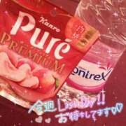 ヒメ日記 2025/05/08 08:14 投稿 かやの（美乳・スレンダー） ソープランド ラ・メイド neo