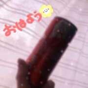 ヒメ日記 2025/05/21 04:30 投稿 かやの（美乳・スレンダー） ソープランド ラ・メイド neo