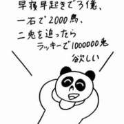 ヒメ日記 2025/07/30 05:54 投稿 かやの（美乳・スレンダー） ソープランド ラ・メイド neo