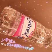 ヒメ日記 2025/08/04 08:14 投稿 かやの（美乳・スレンダー） ソープランド ラ・メイド neo