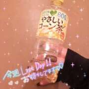 ヒメ日記 2025/08/14 07:14 投稿 かやの（美乳・スレンダー） ソープランド ラ・メイド neo