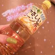 ヒメ日記 2025/09/09 07:44 投稿 かやの（美乳・スレンダー） ソープランド ラ・メイド neo