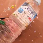 ヒメ日記 2025/10/09 07:24 投稿 かやの（美乳・スレンダー） ソープランド ラ・メイド neo