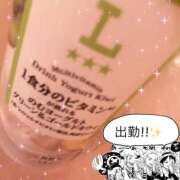 ヒメ日記 2025/12/11 07:04 投稿 かやの（美乳・スレンダー） ソープランド ラ・メイド neo