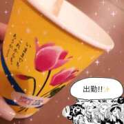 ヒメ日記 2025/12/16 06:54 投稿 かやの（美乳・スレンダー） ソープランド ラ・メイド neo