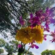 ヒメ日記 2025/10/30 20:25 投稿 萌乃(もえの) 渋谷蘭の会