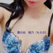 ヒメ日記 2026/07/29 11:35 投稿 萌乃(もえの) 渋谷蘭の会