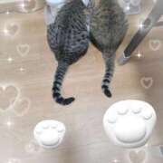 ヒメ日記 2025/04/30 07:13 投稿 しずか 池袋で熟女の風俗 マダムいやーん